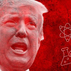 An image of trump on a red background with many stylized symbols showing the attack on women, gender minority, disable people, and science.