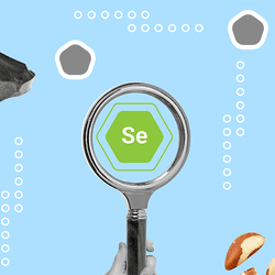 collage representing selenium: a magnifying glass focusing on its element symbol; a lump of selenium; an open, raw oyster; scattered Brazil nuts; and a woman touching her neck, checking her thyroid
